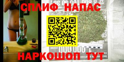 тгк Моздок