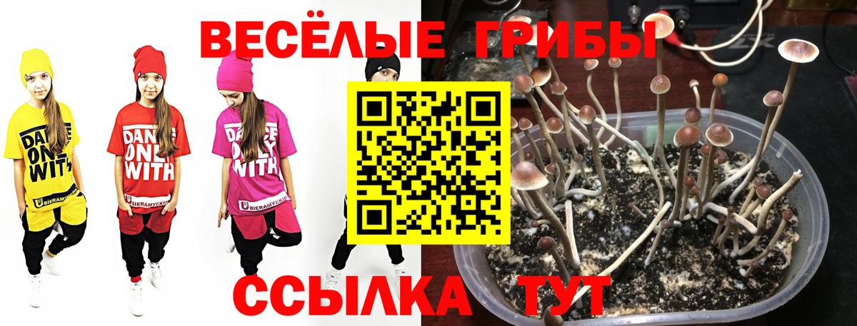 Урай  Галлюциногенные грибы GOLDEN TEACHER  Псилоцибиновые грибы Cubensis  Вход с VPN 